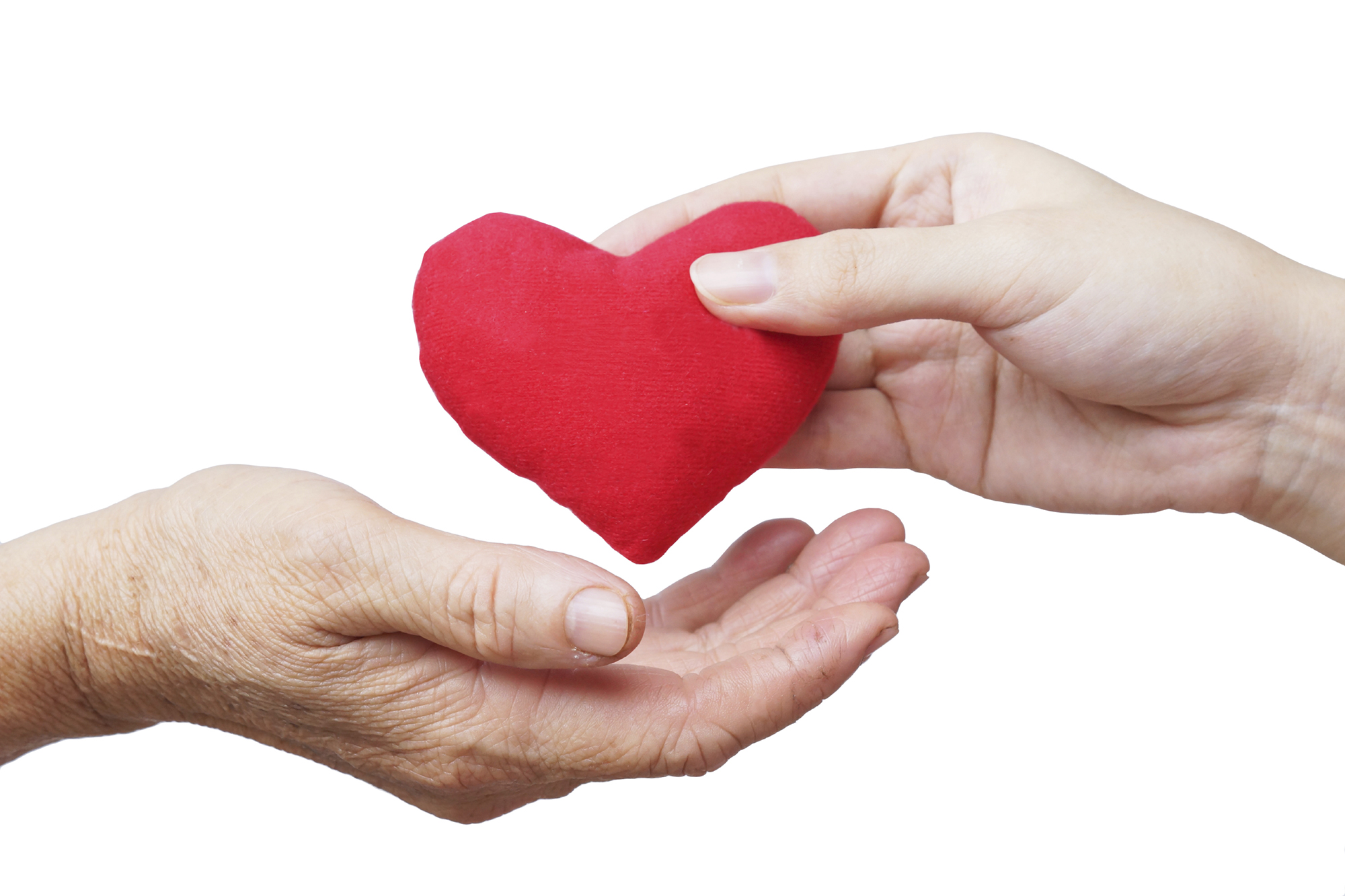 Young and Old hands with heart